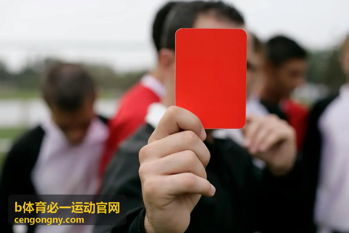 b体育必一运动官网训练课程专题配图